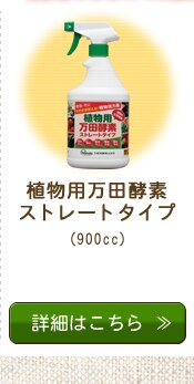 ���c�y�f�V���[�Y