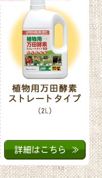 ���c�y�f�V���[�Y