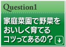 家庭菜園で野菜をおいしく育てるコツってあるの?
