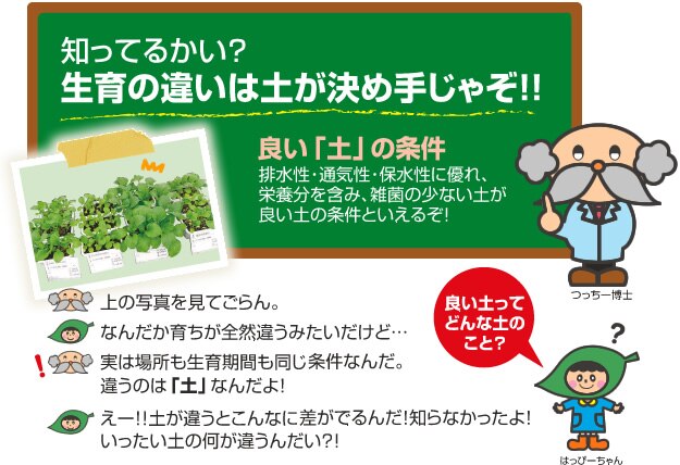 知ってるかい?生育の違いは土が決め手じゃぞ!!