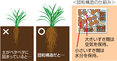 <団粒構造の仕組み>