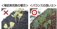 <堆肥未完熟の場合><バランスの良い土>