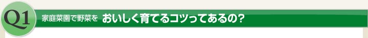 家庭菜園で野菜をおいしく育てるコツってあるの?