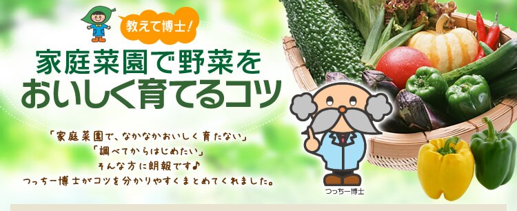 家庭菜園で野菜をおいしく育てるコツ!