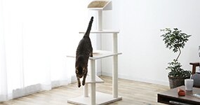 �L���b�g�^���[