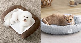 �x�b�h�E�n�E�X