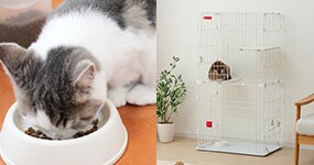 �X�^�[�^�[�Z�b�g