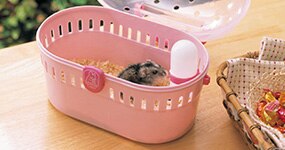 �n���X�^�[