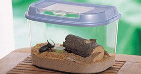 ���̑�������(���E�����Ȃ�)