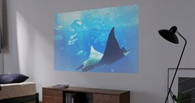 �v���W�F�N�^�[