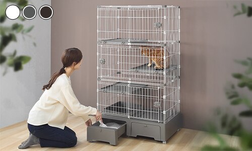 �g�C����̌^�L���b�g�P�[�W3�i�i�L���X�R�b�v�t���j