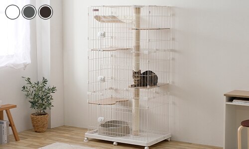 �L���b�g�����h�P�[�W ���C�h 5�i �L�p