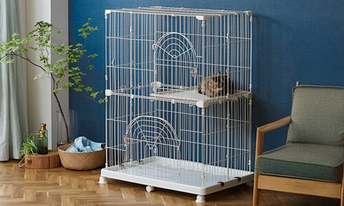 �y�b�g�P�[�W �L�P�[�W 2�i �L���X�^�[�t