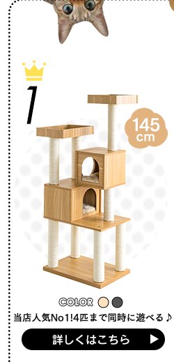 インテリアキャットランド P-ICL-L オフホワイト/フレンチオークオフホワイト1