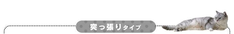 インテリアキャットランド P-ICL-L オフホワイト/フレンチオークオフホワイト5