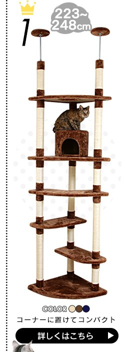 インテリアキャットランド P-ICL-L オフホワイト/フレンチオークオフホワイト6