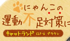 にゃんこの運動不足対策に！キャットランドCLF-6