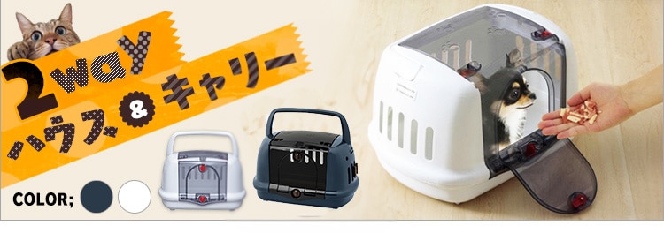 2WAY�n�E�X���L�����[