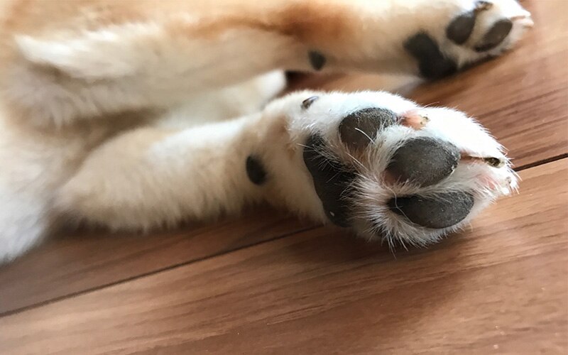 �����P�A