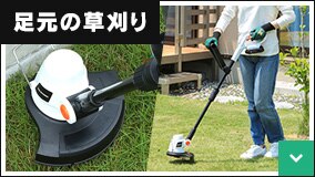 �����̑�����