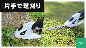 �Ў�ŎŊ���