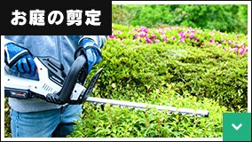 ����̙���