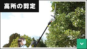 �����̙���