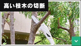 �����}�؂̐ؒf