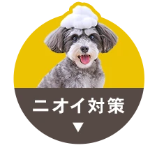 �j�I�C�΍�