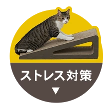 �X�g���X�΍�