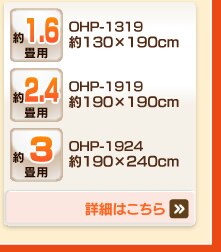 ヒートプラス掛け布団　シングル　ワイン13