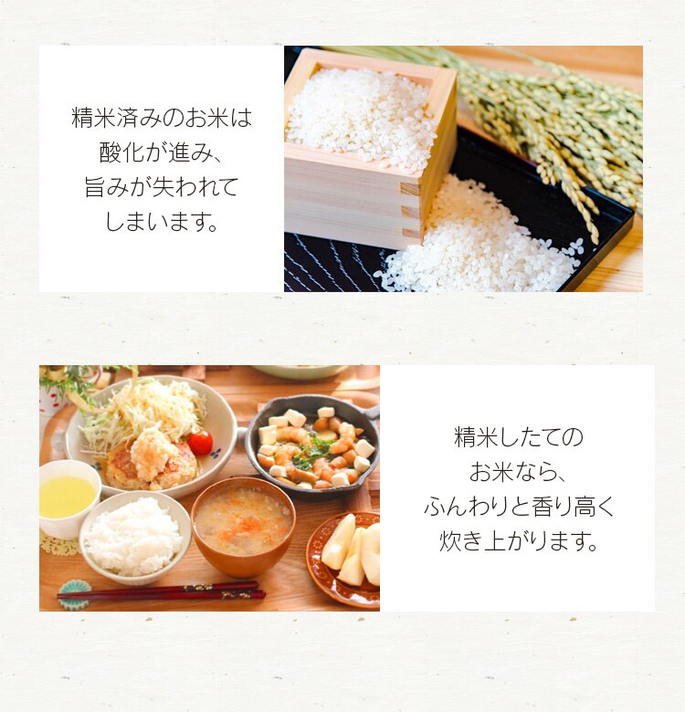 精米機 米屋の旨み 銘柄純白づき ブラック2