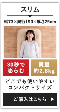 エアーベッド 電動 スリム EAB-SS アイボリー9