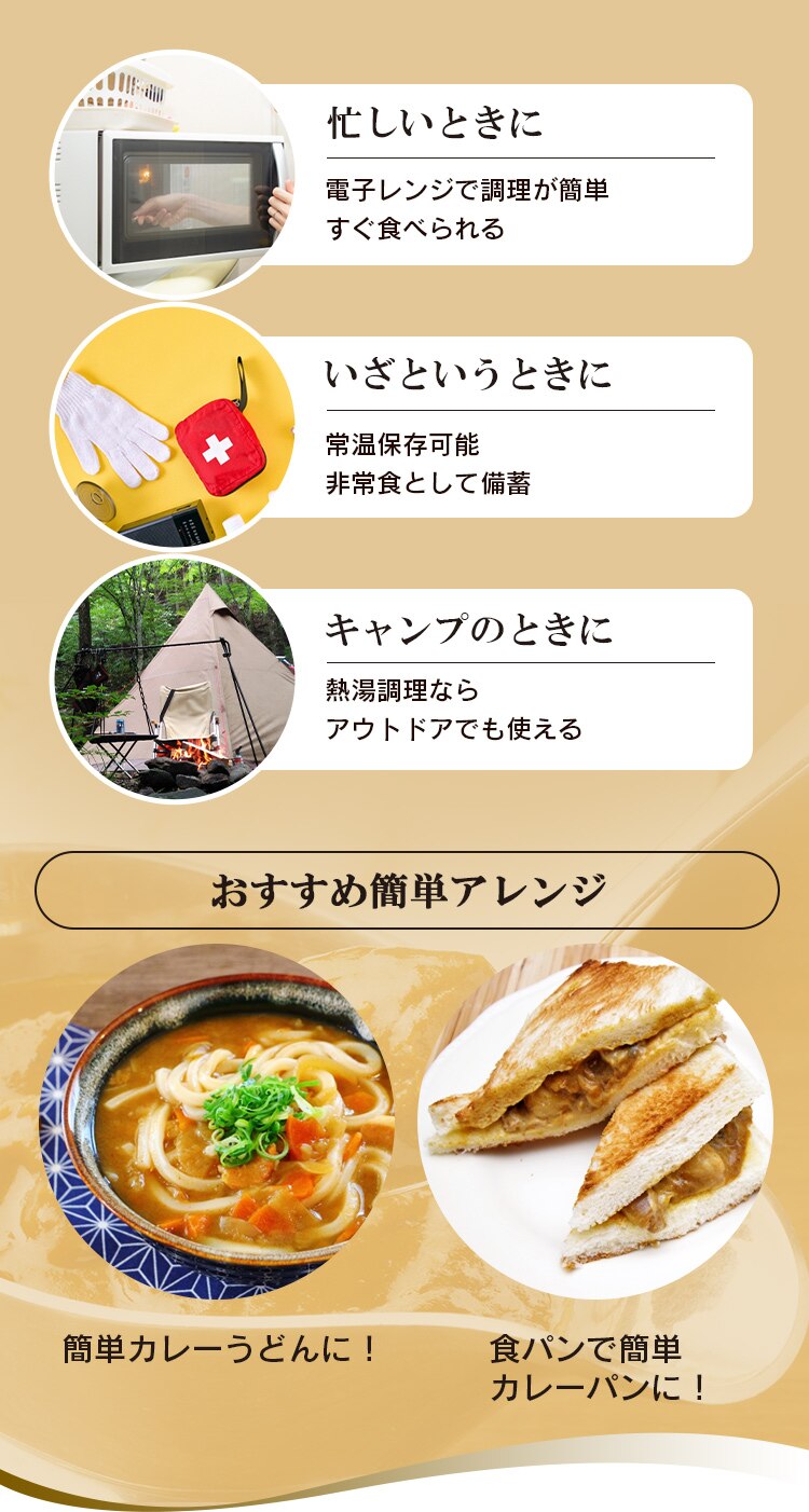 牛肉をとろけるまで煮込んだレストラン仕様カレー 170g&times;4食パック5