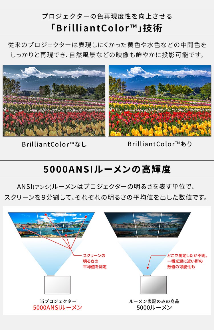 プロジェクター アイリスオーヤマ 大画面 レーザー 業務用 ビジネス オフィス 教室 会議室 カフェ 飲食店 映画 IP-EW500W【代引き不可】2