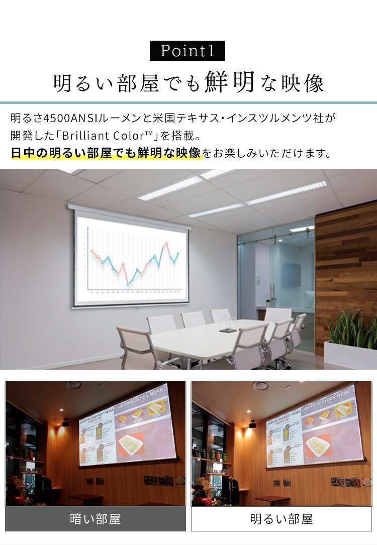 プロジェクター アイリスオーヤマ 大画面 レーザー 業務用 ビジネス オフィス 教室 会議室 カフェ 飲食店 映画 IP-EW450W【代引き不可】1