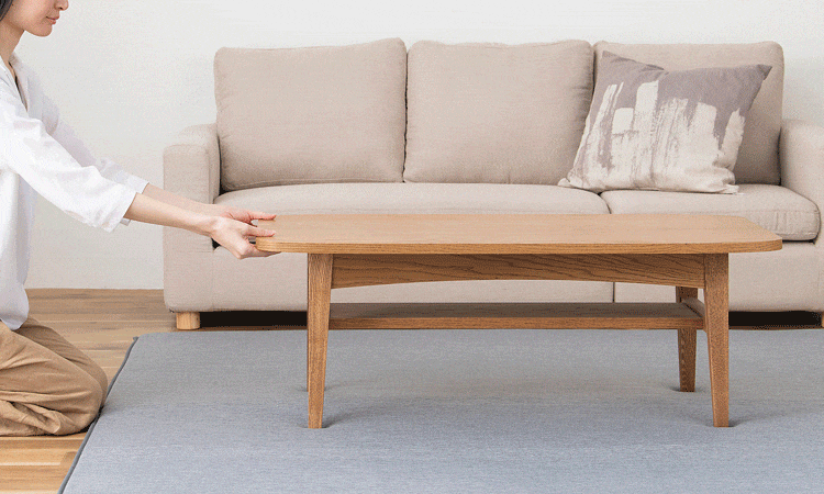 ラグ ラ・クッションラグ リバーシブルタイプ 春夏秋冬使えるラグ 185cm&times;240cm 3畳 厚さ3cm グレー ACRR-CM182411