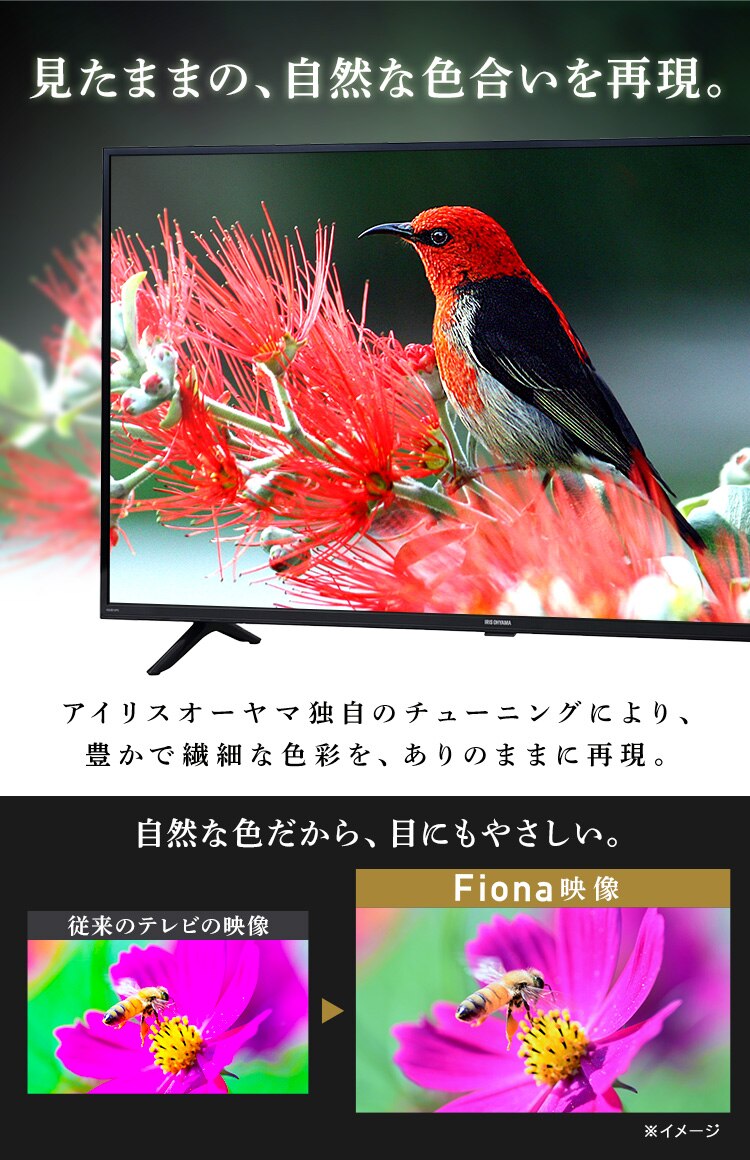 Fiona 液晶テレビ 32V型 32WB10PB1