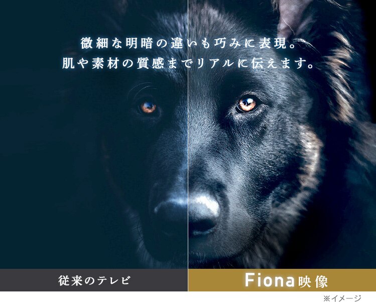 Fiona 液晶テレビ 32V型 32WB10PB4