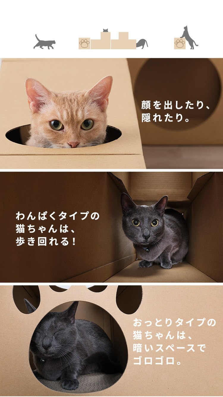 猫用おもちゃ ねこねこトンネル BOX＋T字セット3