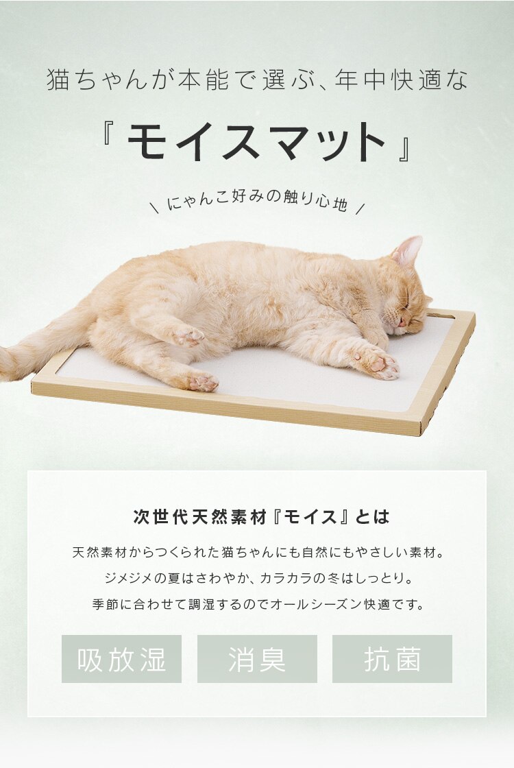 猫用珪藻土マット NECOCOCHI ねここち ナチュラル1