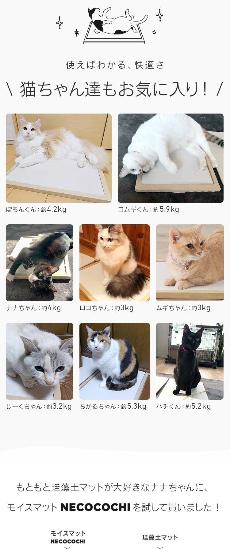 猫用珪藻土マット NECOCOCHI ねここち ナチュラル2