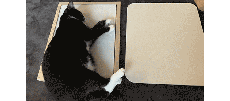 猫用珪藻土マット NECOCOCHI ねここち ナチュラル3