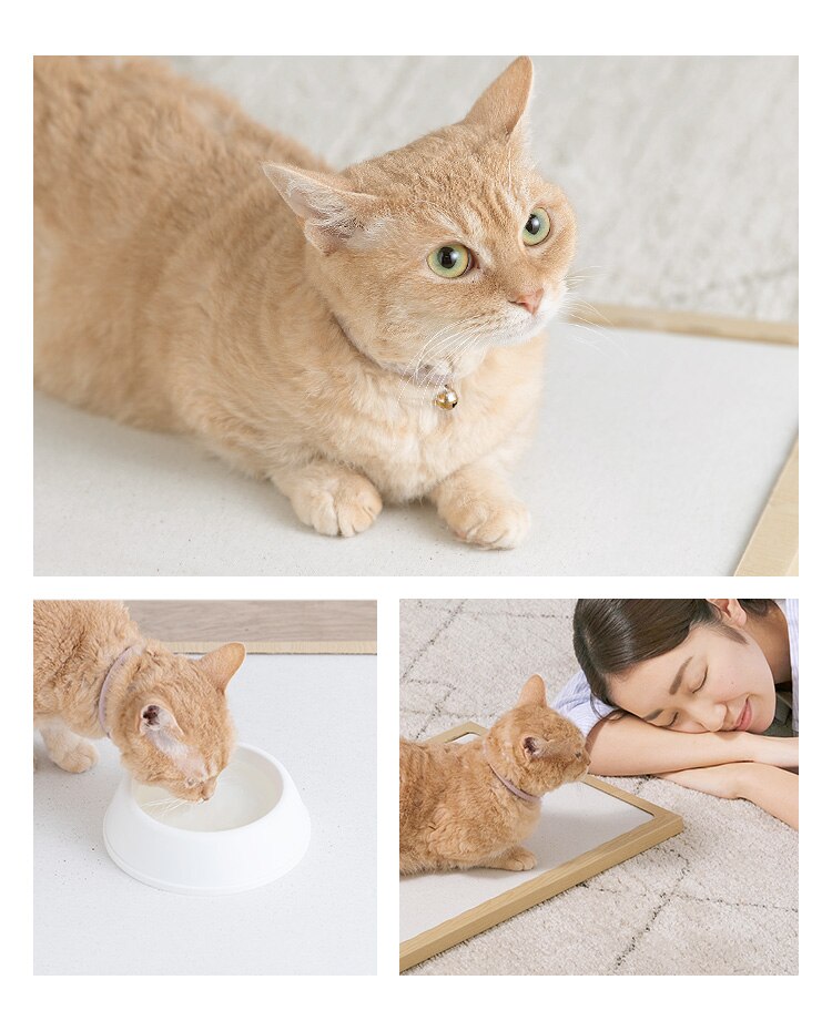 猫用珪藻土マット NECOCOCHI ねここち ナチュラル7