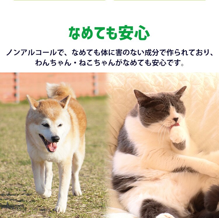 【1440枚】 ウェットティッシュ 80枚&times;18個 PWT-1P2