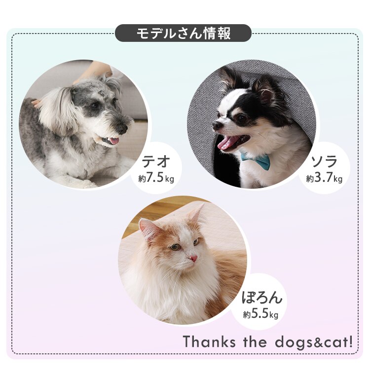 ペットマット Ｌサイズ3