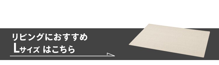 ペットマット Lサイズ6