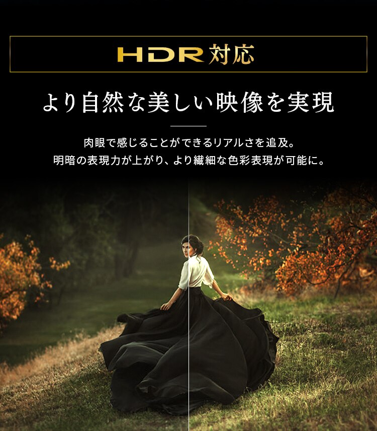 テレビ 75V型 4K QLED LUCA 75XUC35【代引き不可】6