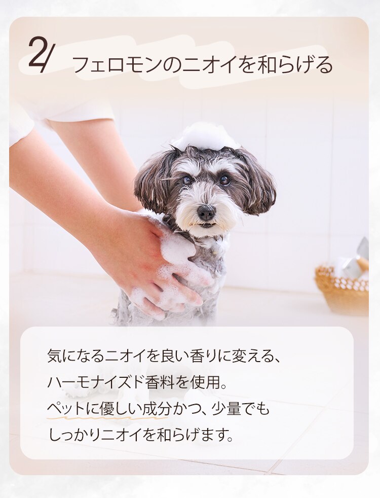 トリートメントインシャンプー ボタニカルソープの香り 400ml P-TS400 ペットシャンプー4