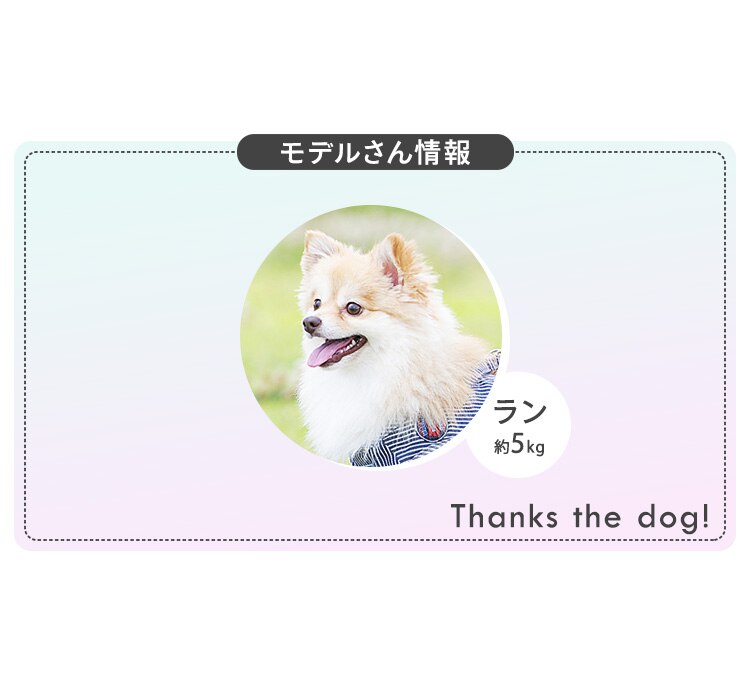 ペット用マナー袋 100枚入3